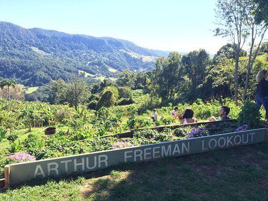 Freeman's Organic Farm